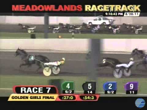 2011 Golden Girls Final - theharnessedge.com