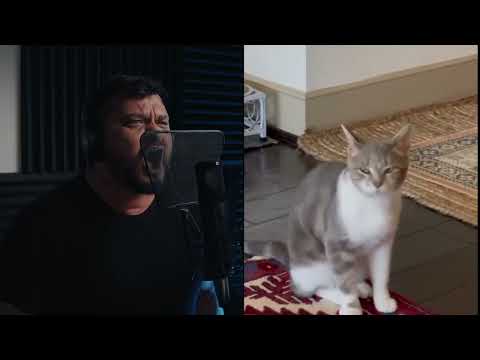 Liam Espinosa - Lonely Cat (The Kiffness Metal Cover)