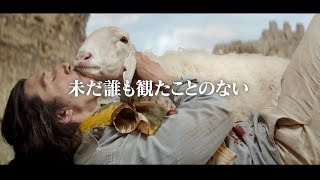 『テリー・ギリアムのドン・キホーテ』の評判 mqdefault - 『テリー・ギリアムのドン・キホーテ』の評判