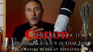Canon R5 mark II and 200-800mm lens at the Los Angeles River - how much tech do we need?