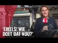 Explosie bij coffeeshop blaast alle ramen eruit