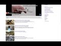Man Destroys Elephant Horror DVD