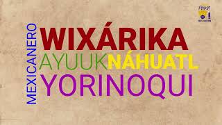 Universitarios desarrollan traductores automáticos de lenguas indígenas