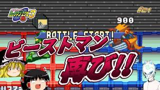 【ロックマンエグゼ3】驚愕!?まさかの再会!!【part21】
