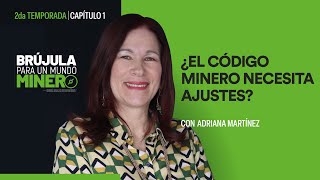 T2E1 ¿El código minero necesita ajustes?