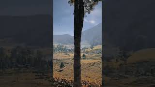 Download lagu Story whatsapp//PUNCAK BOGOR mp3 Download lagu Story whatsapp//PUNCAK BOGOR mp3