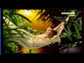 Philippe Lavil Il tape sur des bambous 
