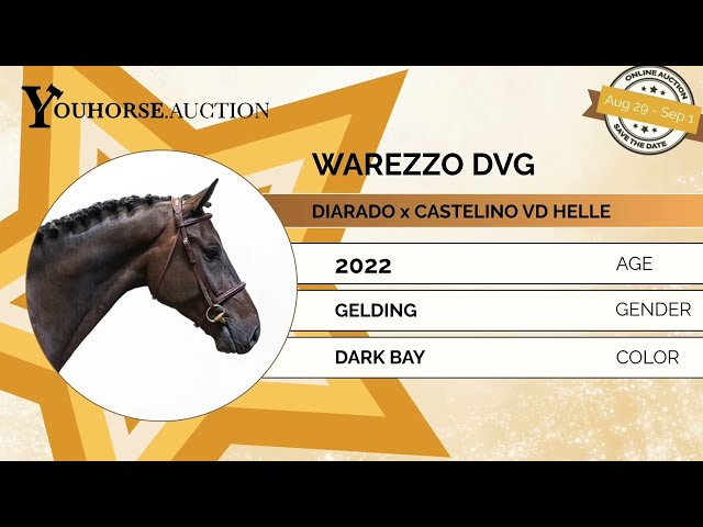 Warezzo DVG