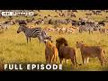 African Savannah | From Deserts to Grasslands | FULL EPISODE | Wildlife Documentary DEFAULT Thumbnail