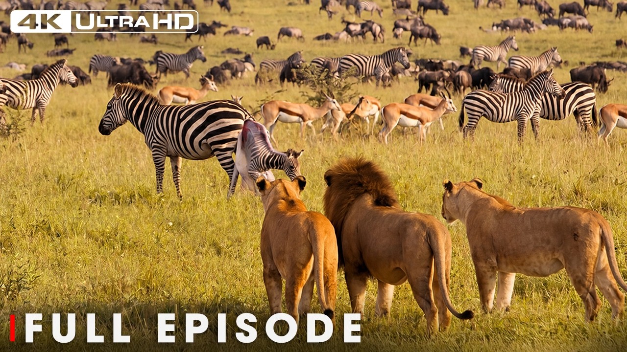 African Savannah | From Deserts to Grasslands | FULL EPISODE | Wildlife Documentary
