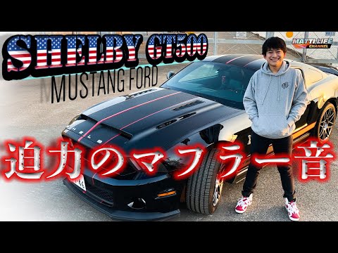 シェルビー GT 500について詳しく解説