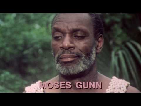 Roots (1977) - PEN-DRIVE INCLUSO