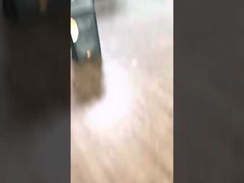 The Making of “Honestas Et Dignitas”