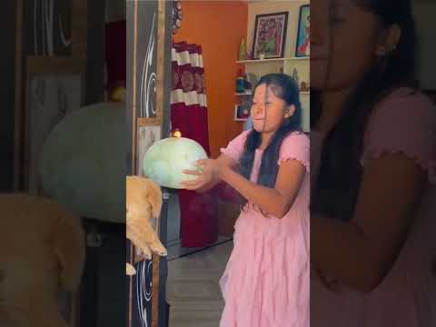 dog lover's ❤ tag that who loves more dogs❤🥰