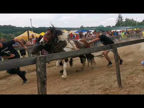 Štraparijada novi Šeher 24.07.2022