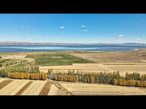 Xi's time in Ulanqab: A green revival at Huangqihai Lake Nature Reserve