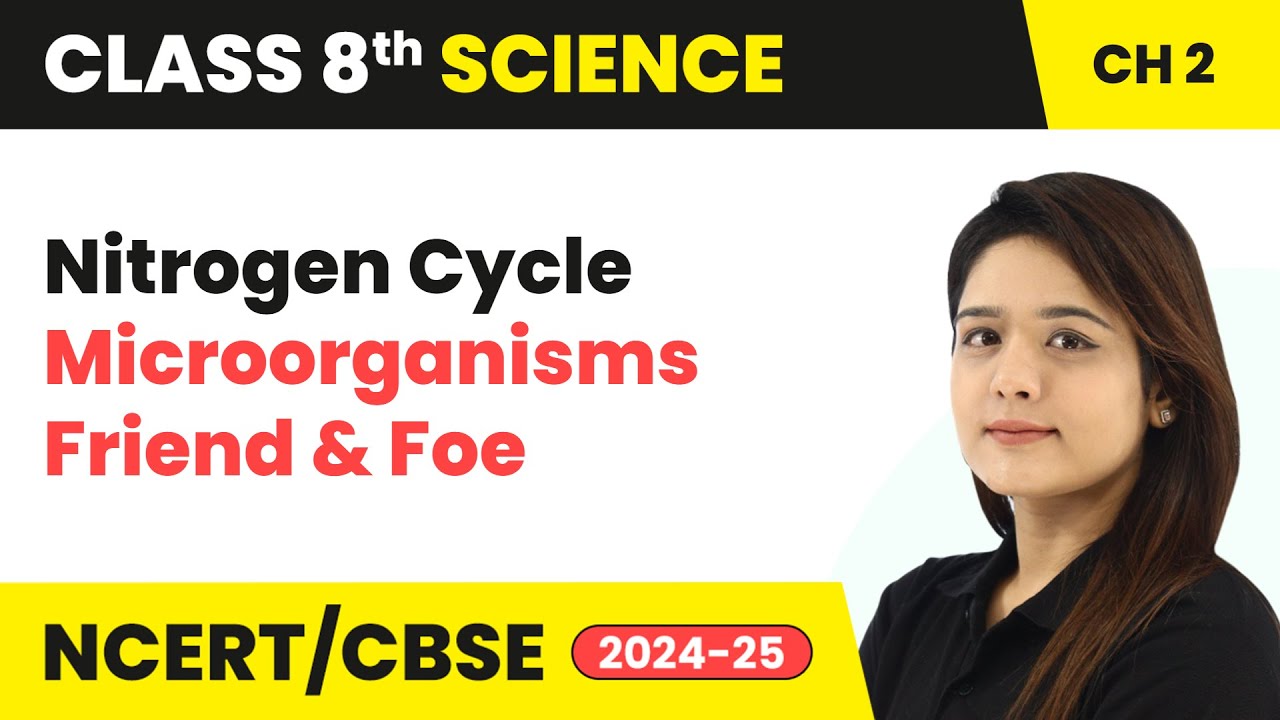 Nitrogen Cycle - Microorganisms: Friend and Foe | Class 8 Science Chapter 2 | CBSE 2024-25