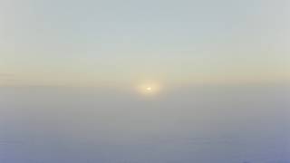 Sea Oleena - Adore U