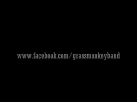 Grass Monkey - Windows And Doors (Roanoke, VA)
