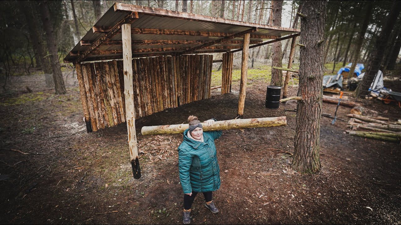 Holzscheune - Dach und Rückwand