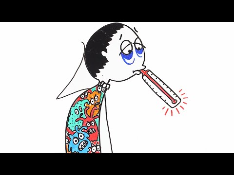 Co się dzieje w naszym ciele, kiedy trafi do niego infekcja?