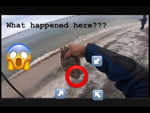 Fluke Fishing Long Island