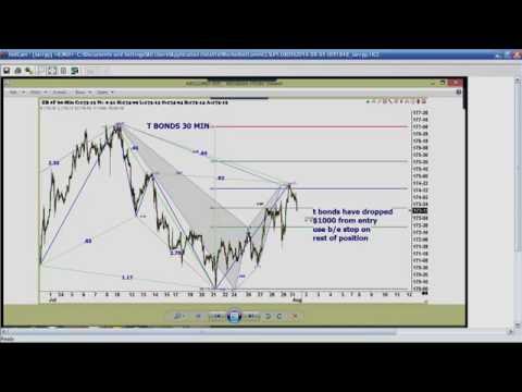 August 1st Trade What You See with Larry Pesavento on TFNN - 2016