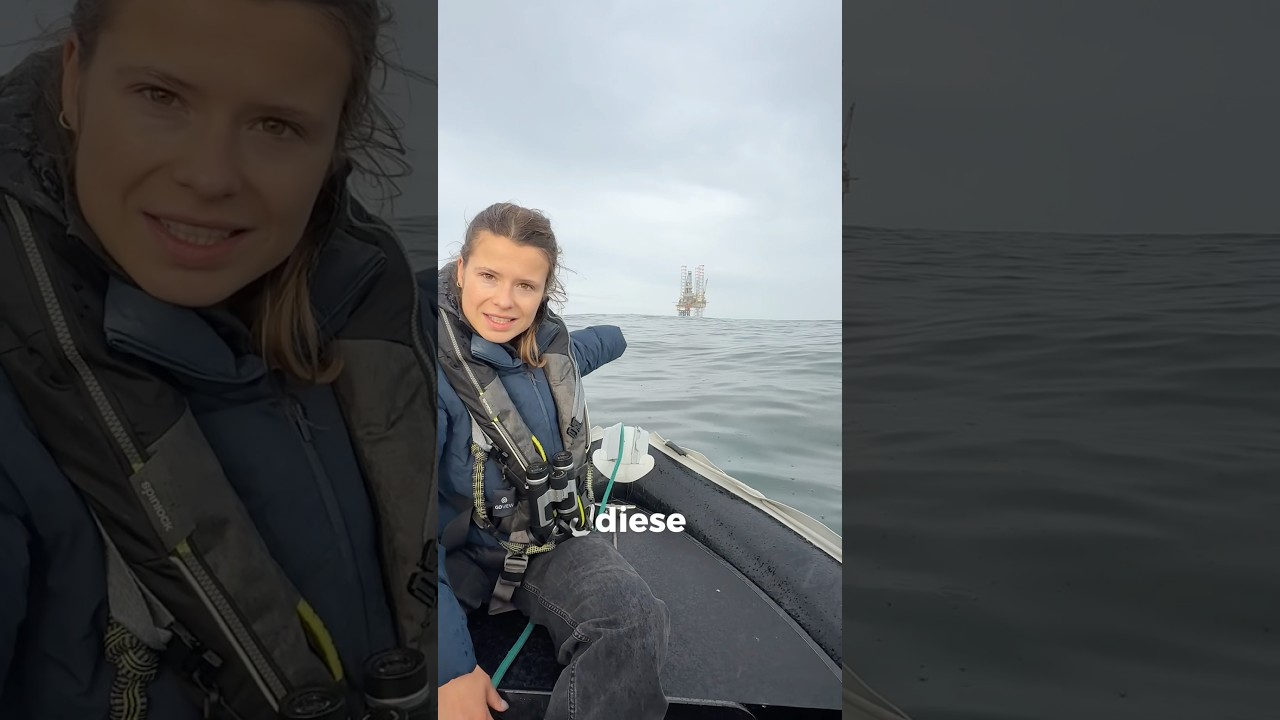 Zerstörung der Nordsee stoppen