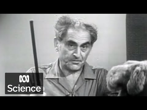 Static electricity demo with Julius Sumner Miller | Why Is It So?