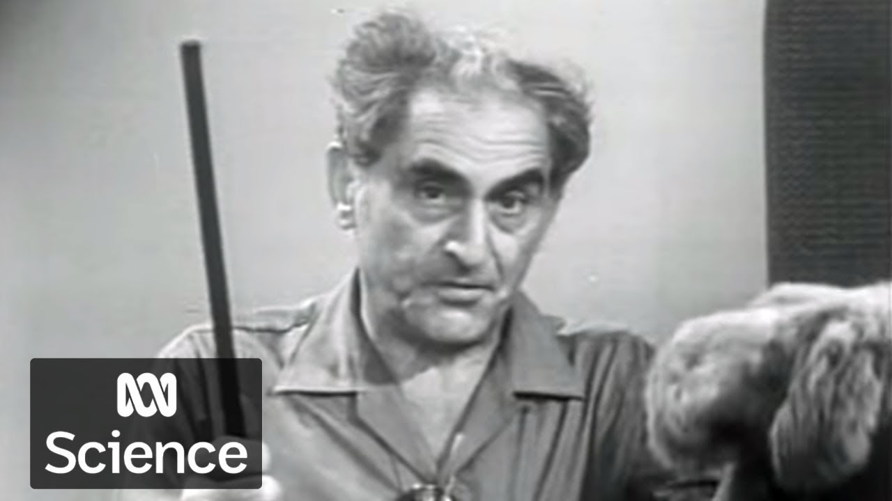 Static electricity demo with Julius Sumner Miller | Why Is It So?