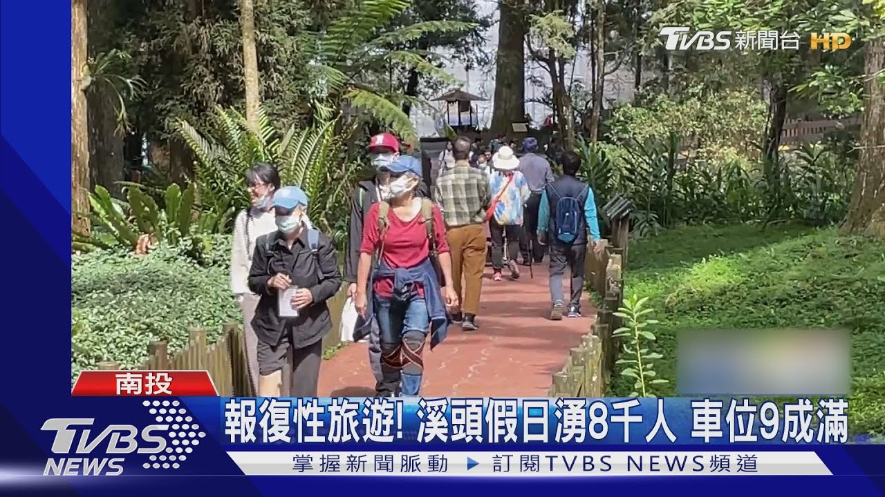 報復性旅遊!溪頭假日湧8千人 車位9成滿