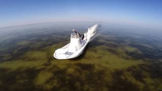 Saltwater Fly Fishing - "Seeing Red 2"