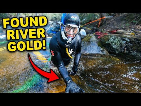 We Found A Gold Nugget Honey Hole!