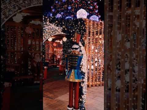 ✨🎄 Natal em Concórdia: quando a cidade brilha ainda mais! 🎄✨