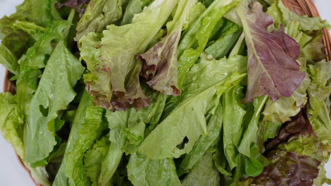 💚상추가 이렇게 맛있는지 알았더라면 생으로 먹지 않았을 겁니다 새로운 방법! 잊을 수 없는 맛입니다