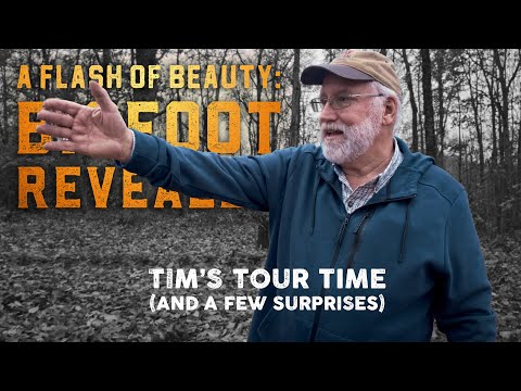 A Flash of Beauty: The Tim "Coonbo" Baker Tour