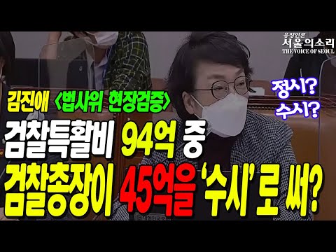 김진애 "검찰특활비 94억 중 45억을 검찰총장이 수시로 사용" 법사위에서 확인