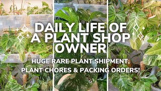 How I Run My Plant Store From Home | Prepping For Huge Shop Updates | Packing Your Plant Orders