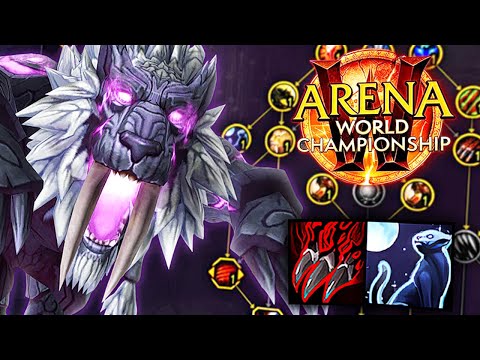 The Build EVERY AWC Feral Druid Plays! (BIG BLEEDS)