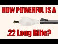How Powerful Is The 22lr