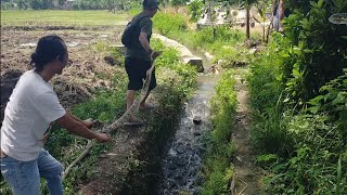 Download lagu Darurat Panggilan 👆Rescue ular didesa Driyorejo Nguntoronadi. mp3 Download lagu Darurat Panggilan 👆Rescue ular didesa Driyorejo Nguntoronadi. mp3