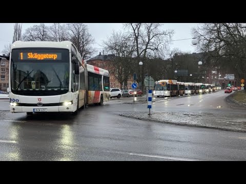 Bussparad med 6 bussar i Linköping. Scania citywide och BYD #bus #sweden #sverige #busspotting 