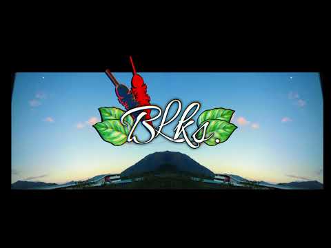 BLKS (Bouss - Ma mère)  remix melø 2K25 