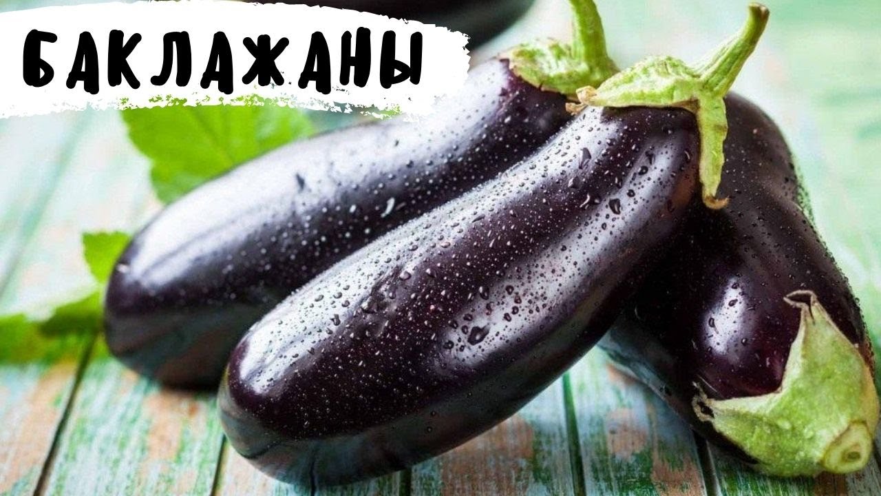Баклажаны готовить только с томатами