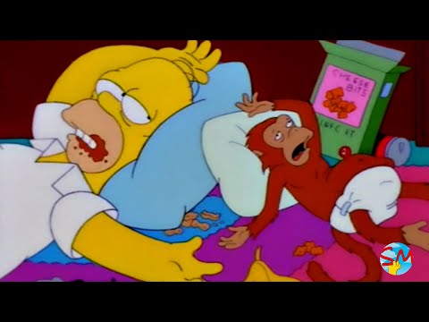 Los Simpsons - Mejores Momentos - Temporada 9