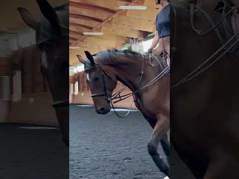 Udalco video 1