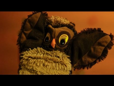 Hej miśki czas wstać, jak można tak spać. Pobudka dla dzieci