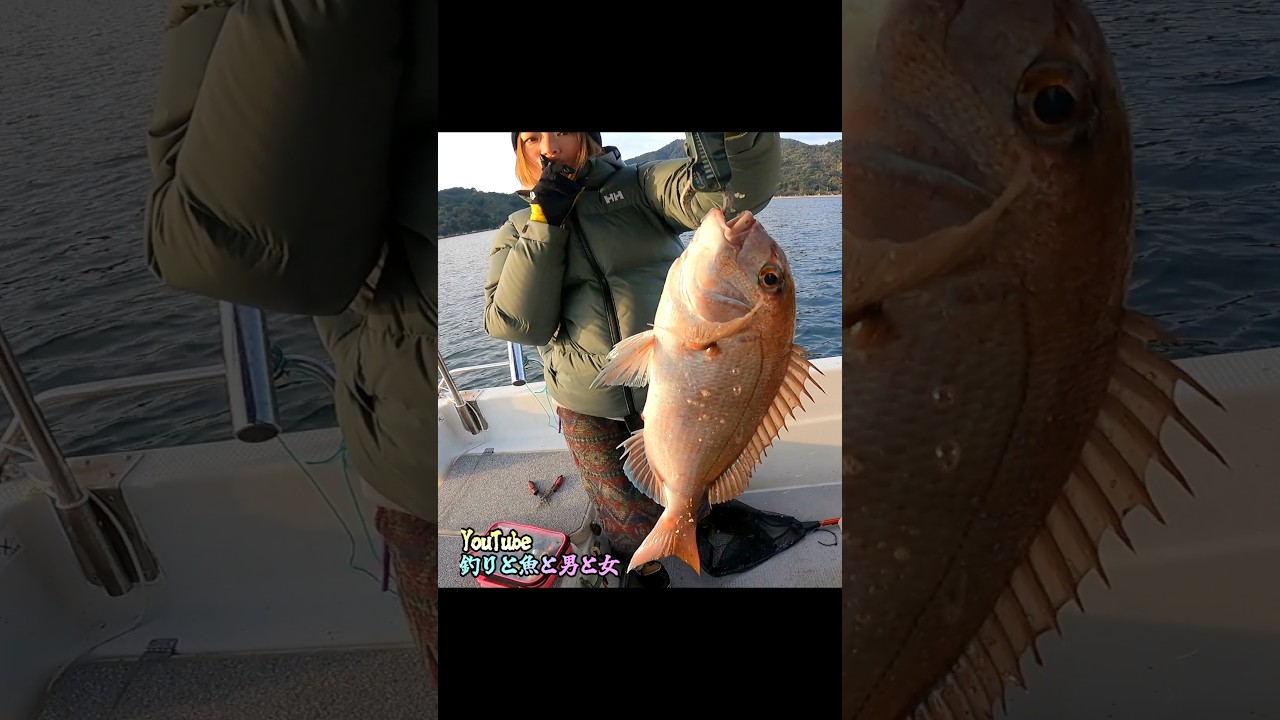 #釣りと魚と男と女#shorts#vol355ハイライト