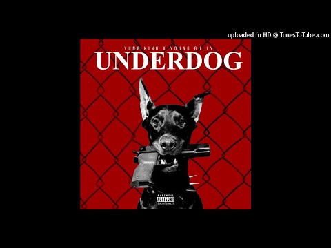 Underdog - Yung King Ft Young Gully ( Audio )