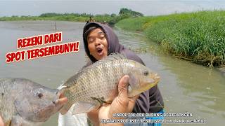 Download lagu A Real Miracle! When All Else Gives Up, Birds Point to the Fish Harvest Spot! mp3